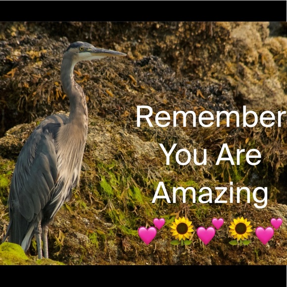 Other - Inspiration 💕🦋💕🦋💕